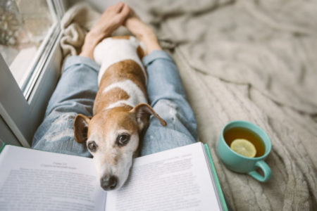 relaxing with puppy and cup of tea